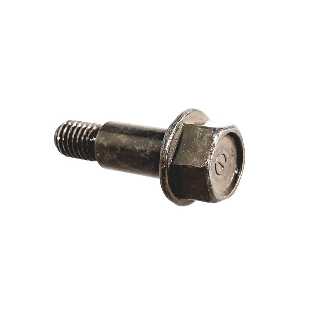 Hex Washer Ladder Bolt